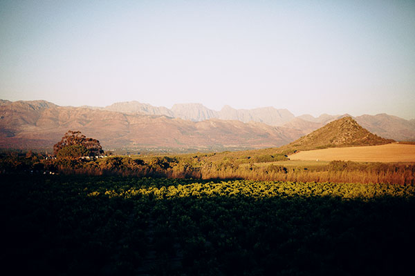 City Guide № 10 : Cape Town, South Africa