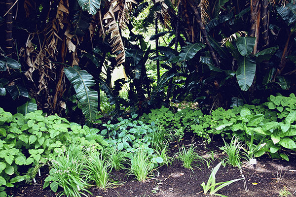 City Guide № 10 : Cape Town, South Africa