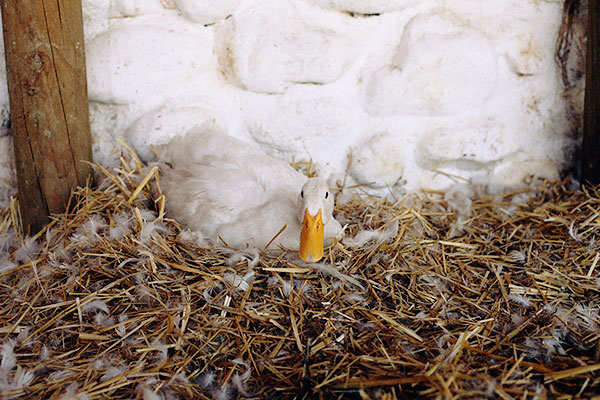 City Guide № 10 : Cape Town, South Africa