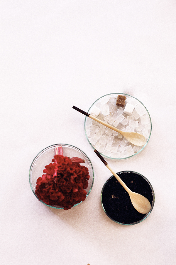 City Guide № 10 : Cape Town, South Africa