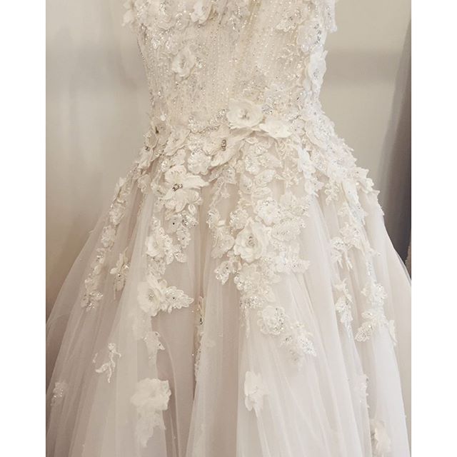 Fashion Designer: Australian Couturier Paolo Sebastian, Adelaide