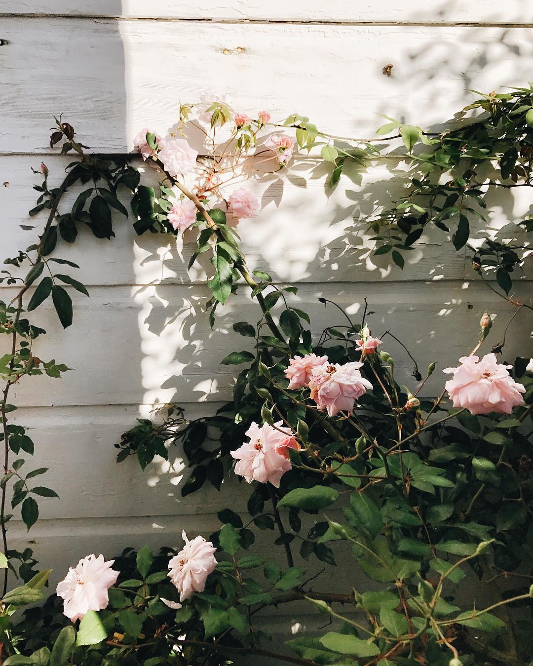 From Instagram | 10 Images With: Jen Kay, San Francisco, California